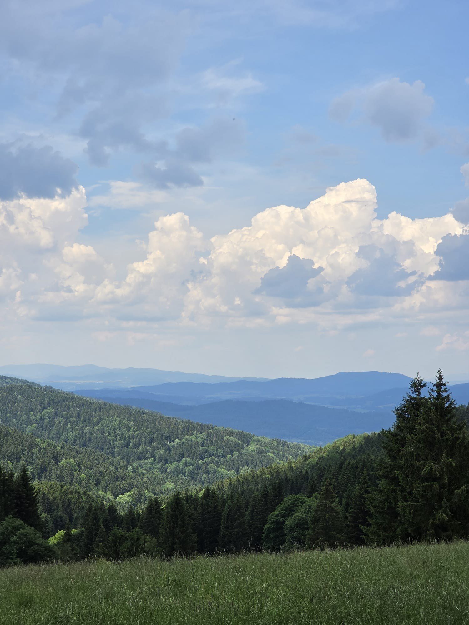 Panorama Masywu Śnieżnika z okolic Siennej